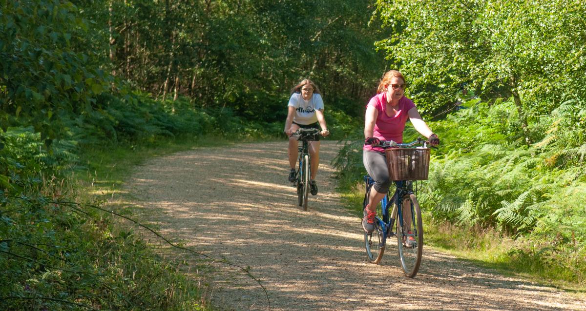 Cycling in the new forest store